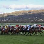 non runner no bet cheltenham 2021